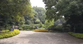 Garden ambient scene background for the Pomodoro timer